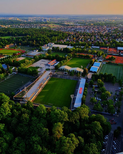 色的球场领 色的球场领