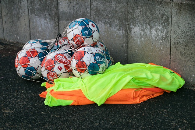 击败荷兰队 击败荷兰队