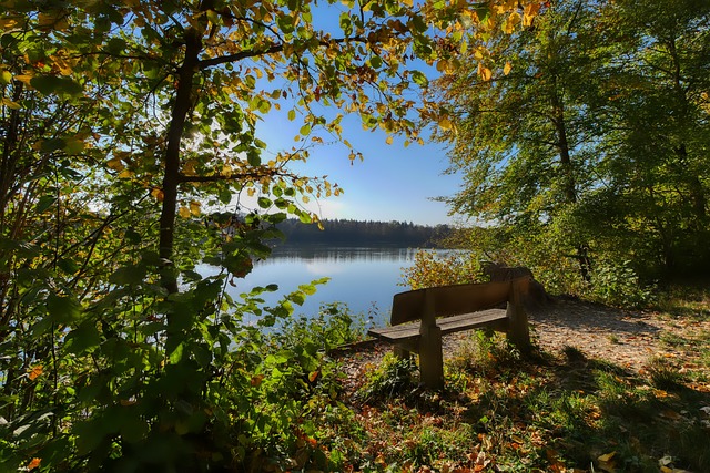 續取得佳績 續取得佳績